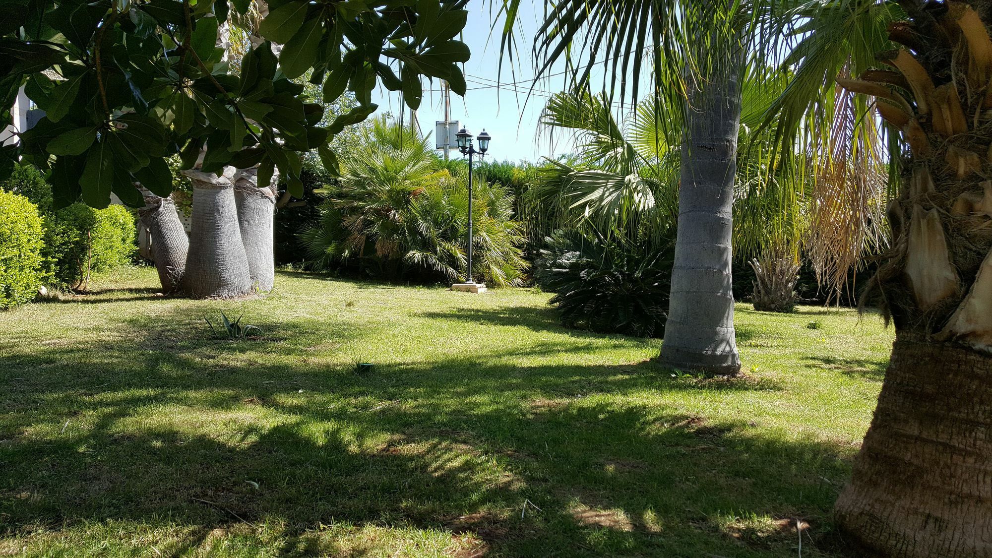 نوتو Villa Ottavia المظهر الخارجي الصورة